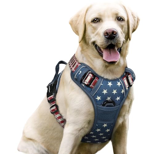 Image of rabbitgoo Dog Harness No Pull with 2 Leash Clips, Adjustable Soft Padded, Reflective Oxford No Choke Pet Vest with Easy Control Handle for Large Dogs, Blue Star, L