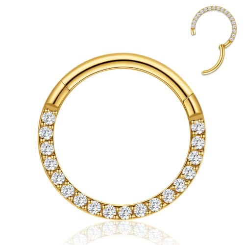 limerencia Nose Ring Hoop,16G Titanium CZ Gems Helix Cartilage Earring