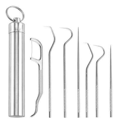 Hilo Dental, Juego De 7 Palillos De Acero Inoxidable 304 Seda Dental Hilo Dental De Metal PortáTil Kit Limpieza Dental Juego De Cubo De Almacenaje Kit Limpieza Bucal Hilo Dental Hilo Dental Con Mango