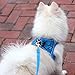 Suredoo Hundegeschirr Kleine Hunde mit Leine, Anti Zug Geschirr Reflektierend Atmungsaktiv Brustgeschirr, Welpengeschirr für Kleine Hunde (Blau Kariert, M, Brust: 34-39cm)