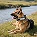 AKOFIC Taktisches Hundehalsband mit Griff, Breites Halsband Hund Gepolstert aus Nylon, Verstellbar Robuster Dog Collar mit Metallschnalle für Mittlere Große Hunde (Schwarz, L)