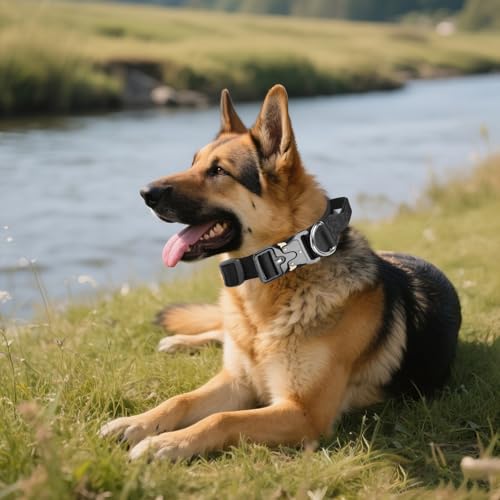 AKOFIC Taktisches Hundehalsband mit Griff, Breites Halsband Hund Gepolstert aus Nylon, Verstellbar Robuster Dog Collar mit Metallschnalle für Mittlere Große Hunde (Schwarz, M)