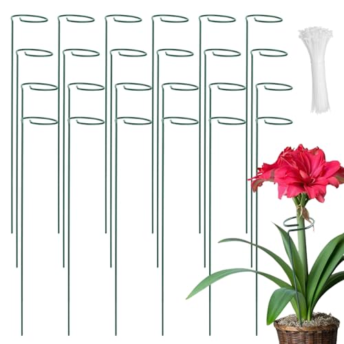 CHUIFAI Lot de 24 Tuteurs pour Plantes avec 100 Attaches, Support de Plantes de Jardin Demi-Rond pour Tomate, Hortensia, Vigne, Plantes Grimpantes Fleur Intérieur Extérieur, 40 x 6,5 cm
