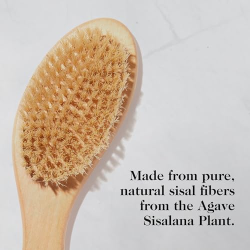goop Beauty Dry Brush | Detoxifying Body Exfoliator | Wooden Handle with Natural Biodegradable Sisal Fibers | Sweeps Away Dead Skin | FSC Certified - Thumbnail 3