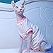 YAOER Haarlose Katze Sphinx Devon Haustier-Katzenkleidung, Baumwolle, Rosa, weiches, hypoallergenes Tanktop aus Baby-Baumwolle, Rosa, XXL