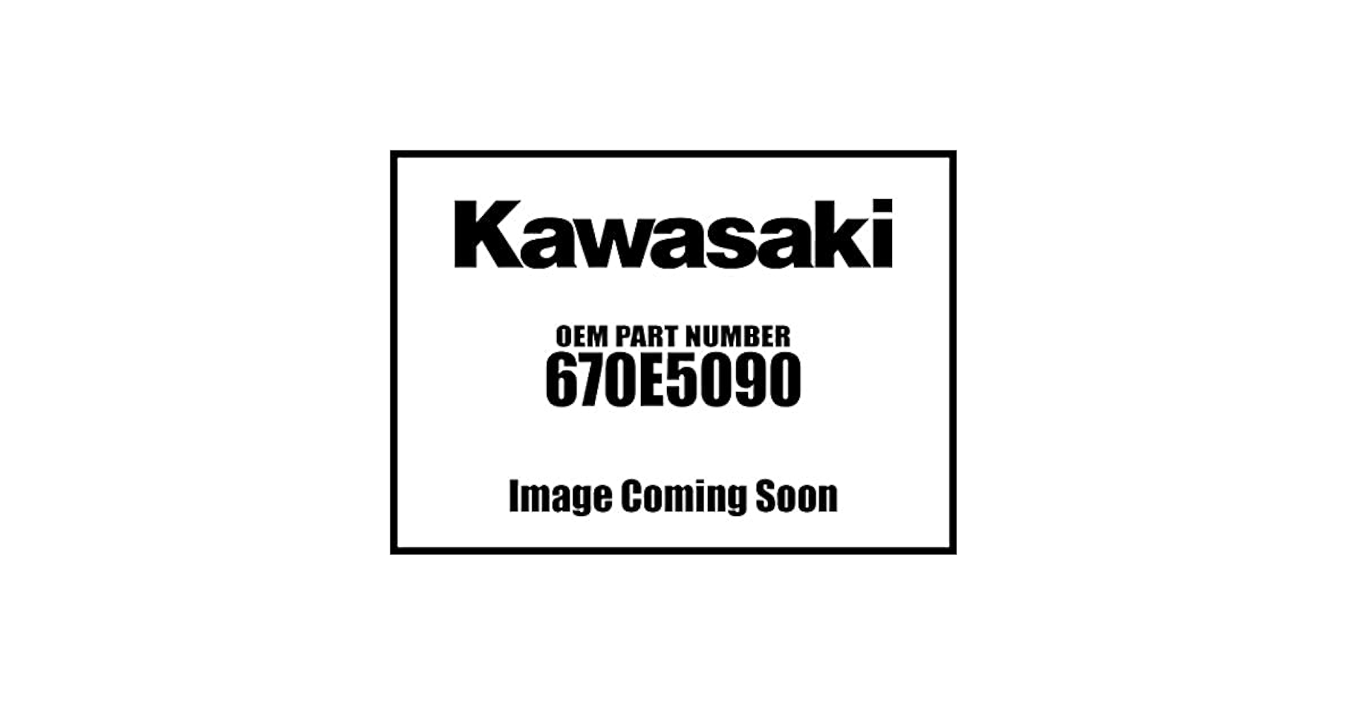 Amazon.com: Kawasaki 2008-2020 Mule Teryx O Ring 670E5090
