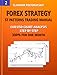 Forex Strategy: ST Patterns Trading Manual, EUR/USD Chart Analysis Step by Step, 300% for One Month (Forex, Forex trading, Forex Strategy, Futures Trading Book 2)