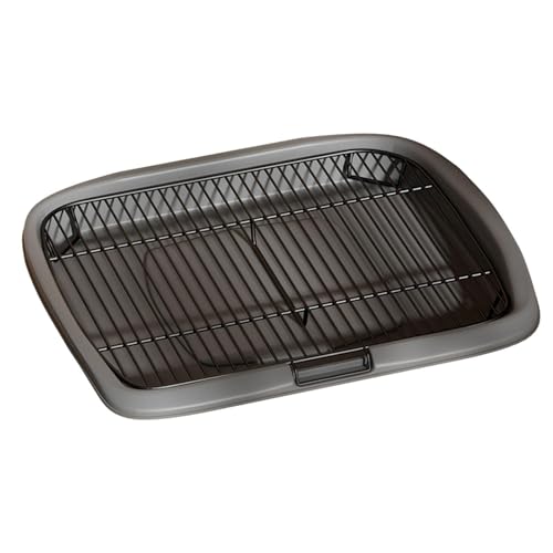 Zynphancer ybgpgCgC O[ LTCY ėp\ PP XeXX`[bV ppbhz_[ p (O[ XL)