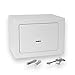 Produktbild Bonzus® Minisafe Minitresor Safe Mini Safe Tresor Wandsafe Geldschrank Geldkassette BZ1 (Silbergrau)