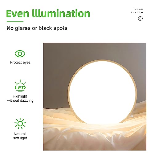 LightingWill 24 Inch LED Flush Mount Ceiling Light Fixture, 2800K Warm White, 5600LM, 45W, Flat Modern Round Lighting Fixture, 400W Equivalent White Ceiling Lamp for Kitchens, Bedrooms.etc.
