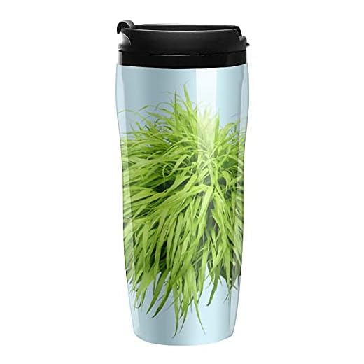 Kreativitet hög temperatur värmeisolering drycker kaffekopp Custommake krukväxt prydnadsgräs gröna långa blad för födelsedag eller semestergåva present till familj vänner 350 ml