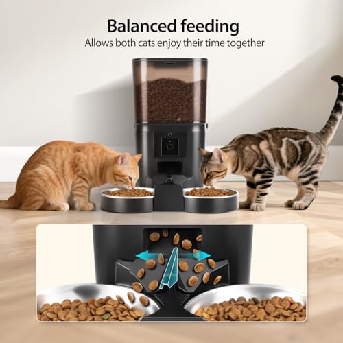 Nobleza Comedero Gato Automático 6L con Cámara 1080P 120°: App Control, WiFi 5G/2.4G, Audio Bidireccional, Llamadas Mascotas, Detección Movimiento + Sello Hermético ¡Control Remoto Total! - imagen 7