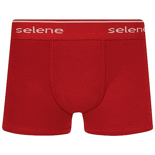 Cueca Boxer Infantil Algodão Selene Kit Com 10 Cuecas Cor:Colorido;Tamanho:P