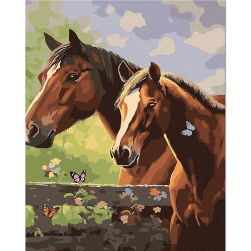 TOCARE Horse Paint by Number Kit for Adults Canvas, Easy Paint by Numbers Kit for Adults Beginner Horses, Acrylic Adult Paint by Number Kits Animals 16x20inch