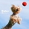 Jeffers Pet Natural Rubber Dog Chew Toy – Red Hollow Ball, Medium – Treat Dispensing, Vanilla Scent, Durable, Non-Toxic, Dishwasher Safe, Interactive Fetch & Tug Toy - Perfect for Training #5