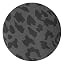 Black Cheetah
