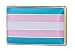 Gay & Lesbian Pride Rainbow LGBT LGBTQ Flag Lapel Pin (Transgender Rectangle)
