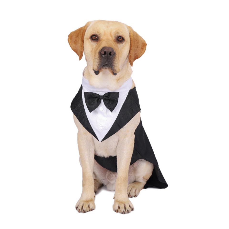 Disfraz perro smoking con moño 2XL algodón formal miniatura 4