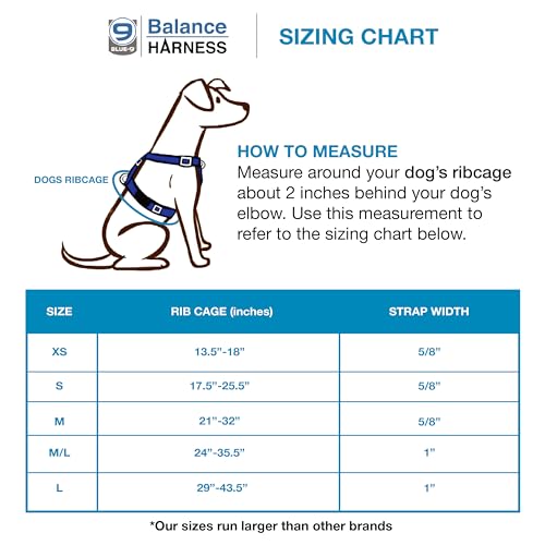 Blue-9 Buckle-Neck Balance Harness, Fully Customizable Fit No-Pull Harness, Ideal for Dog Training and Obedience, Made in The USA, Blue, Medium - Thumbnail 2
