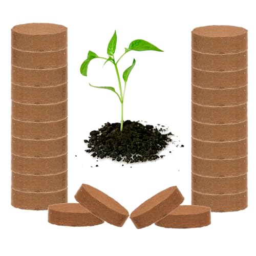 Image of GiftOneTree Coco peat Plain (20 Discs) for Hydroponics, Seedling and Plants (Round 40mm X 10mm Plain, Pack of 20)