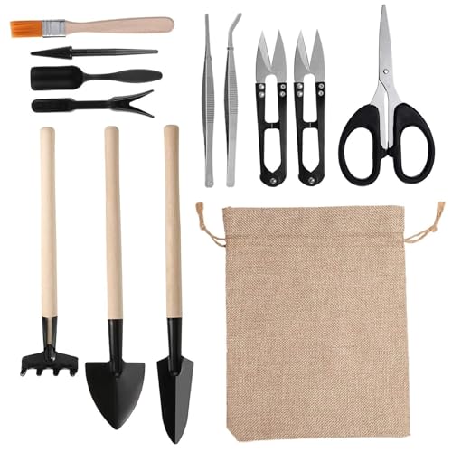 Encuentra el cuidado de las plantas marca veesper, en la categoría de recomendaciones para el cuidado de las plantas. El cuidado de las plantas Marca Veesper 2