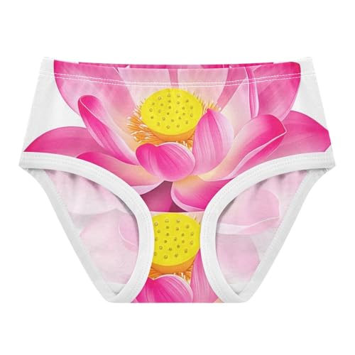 Girls Underwear Toddler 2t Cotton Girl Panties Cute Personalized Briefs Kids Undies Pink Water Lily Flower Lotus White