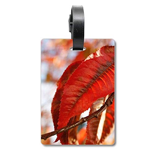 Étiquette de valise feuille d'érable rouge en PVC pour bagage voyage