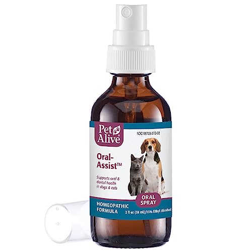 PetAlive Oral-Assist – Natural Homeopathic Formula Supports Oral and Dental Health in Dogs and Cats – Supports Healthy Teeth and Gums in Pets – 59 mL PetAlive Oral-Assist – Natural Homeopathic Formula Supports Oral and Dental Health in Dogs and Cats – Supports Healthy Teeth and Gums in Pets – 59 mL