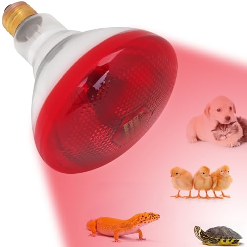 Aiicioo Infrared Heat Lamp Bulb 250W Red Infrared Heat Bulb for Chickens Reptile Heat Light Bulb for Brooder Coop Chicks Pet Reptile Amphibians Par38 Glass E26 Base