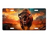 Vanity Decorative Front License Plate - Cute Car License Plate Made in the USA - Aluminum Metal Plate - Premium Quality Car Plate - Front Plate for Car (Charging Buffalo)