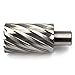 Annular Cutter JESTUOUS 3/4 Inch Weldon Shank 1-1/2 Cutting Diameter 2 Cutting Depth with Two-Flat HSS Kit for Magnetic Drill Press,1 Piece