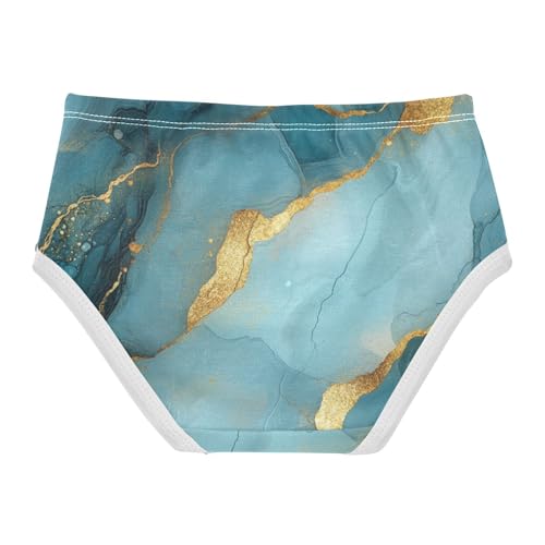 Brief Panties Stretchy Triangle Panties Organic Underwear for Young Girls in Sizes 2T,3T, 4T, 5T, 6Y and 8Y2