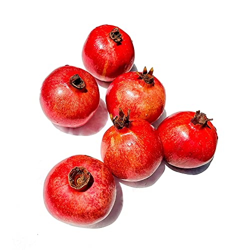 Kejora Fresh Pomegranates Set of 6 - Produce of USA