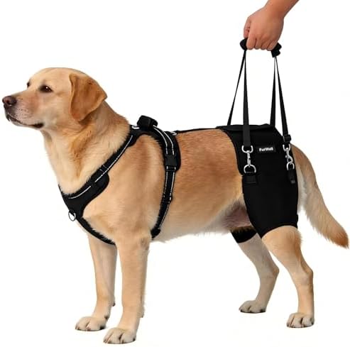 Dog Hip Brace for Hip Dysplasia & Arthritis - Adjustable