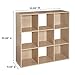 ClosetMaid Cubeicals 9 Cube Storage Shelf Organizer Bookshelf, Square Shape, Easy Assembly - Birch Wood Finish