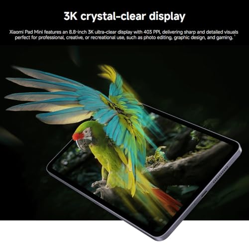 Image of XIAOMI Pad Mini 8GB + 256GB - Tablet 8.8 inch 3K 165Hz Measures 9400+ 7500mAh 67W 13MP + 8MP HyperOS Black (with Charger Included)
