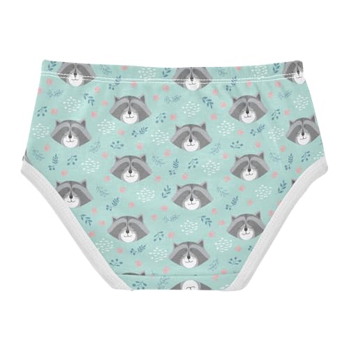 Wusikd Cute Raccoon Girls' Underwear Cotton Paws Girls Briefs Soft Toddler Underwear 4T2