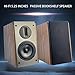 SAMTRONIC Passive Bookshelf Speakers 5.25