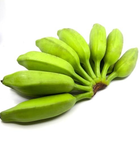 Burro Plantain (Shipping Included) - Image 3
