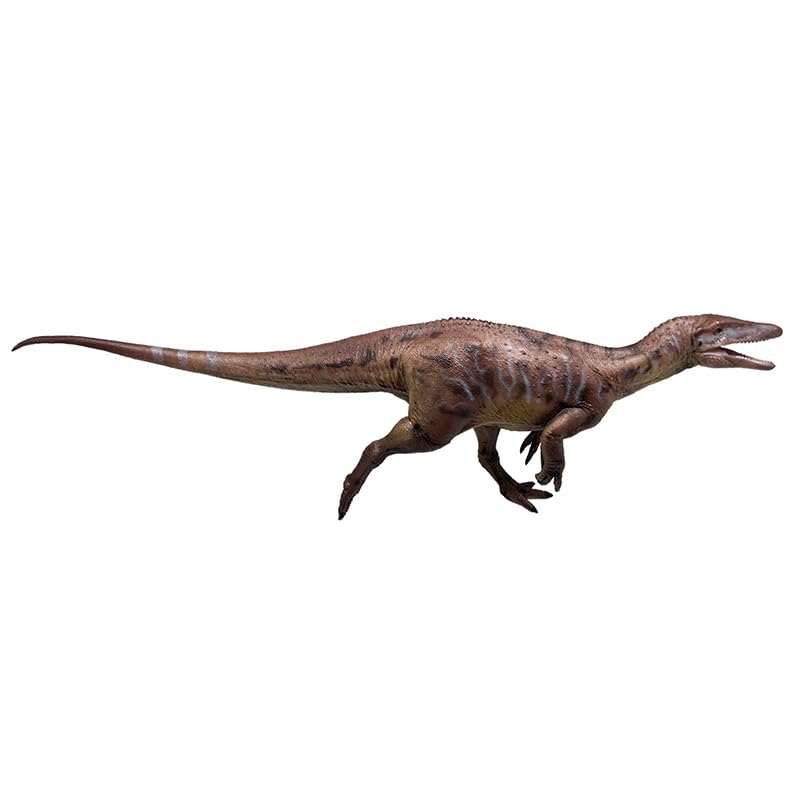 Statuette AMITD Megaraptor haut de gamme avec finitions réalistes Duan Jing Zhu