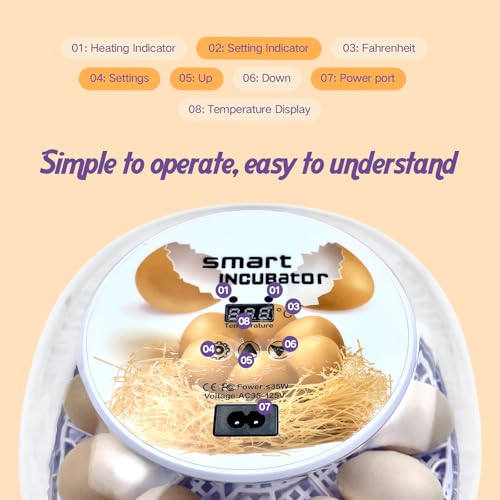 12 Egg Incubators for Hatching Eggs | with Auto Egg Turner, Temp & Humidity Control | 360° Viewing for Chicken, Duck, Quail Eggs | Ideal for Farm, School, Home - Image 4