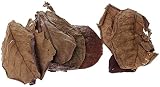 Pack de 10 hojas de manzano indio pH bajo para uso en acuario - Tratamiento práctico