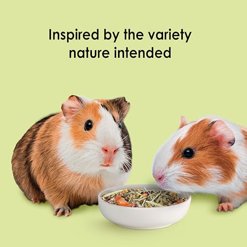 Kaytee Food from The Wild Natural Pet Guinea Pig Food,4 Pound,(Pack of 2) - image 7