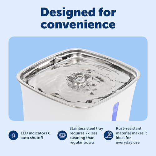 Fontaine à eau chat PetSafe Viva dans votre salon pour le bien-être de votre petit chien - 5