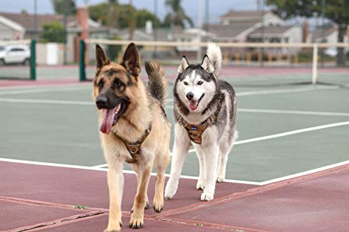 Image of AUROTH Tactical Dog Harness for Large Dogs, Heavy Duty No Pull Pet Vest