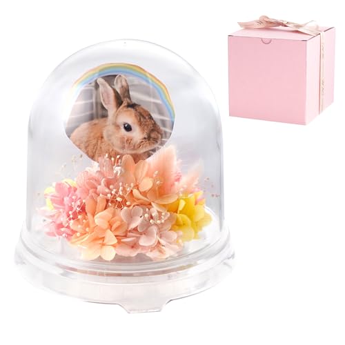 Ԃ܂肩 ybg  蕨 vU[uht[  [|bg h[ ybg   iR[j