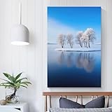 Ocasiones aplicables: este póster de Snowy Island in A Frozen Lake no solo es adecuado para colgar en el baño, sala de estar, dormitorio, galería y pasillo. También es adecuado como regalo para amigos y familiares en días especiales como cumpleaños, inauguración de la casa, aniversario, etc.