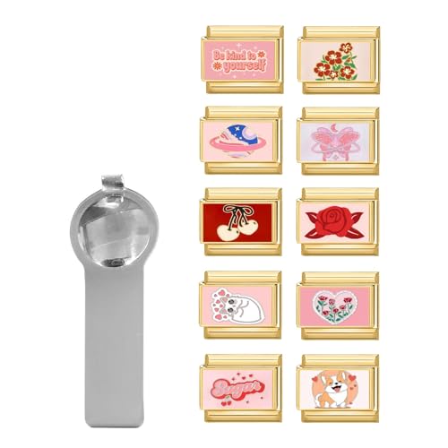 papasgix Italian Charm Bracelet Charms Gold Pack with Assorted Charms Opening Tool 9mm Modular Italian Charm Bracelet Links Bulk Pack Handmade DIY Jewelry Red Dog Cherry