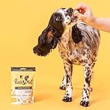 Pooch & Mutt - Vegane Nuss-Leckerlis (getreidefrei), Erdnussbutter, 7x120 g