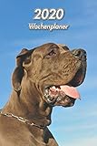 2020 Wochenplaner: Blaue Dogge  107 Seiten, 15cm x 23cm ca. A5  Taschenkalender  Terminplaner  Tagebuch  Terminkalender  Organizer für Hundeliebhaber